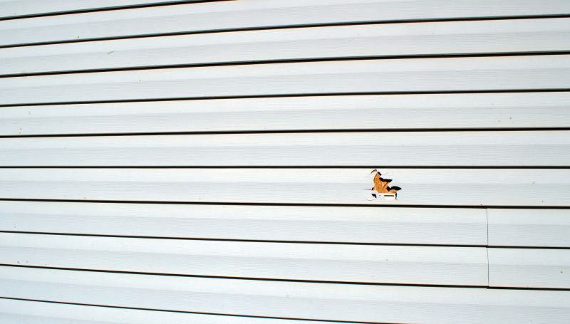 Long-term Maintenance Planning